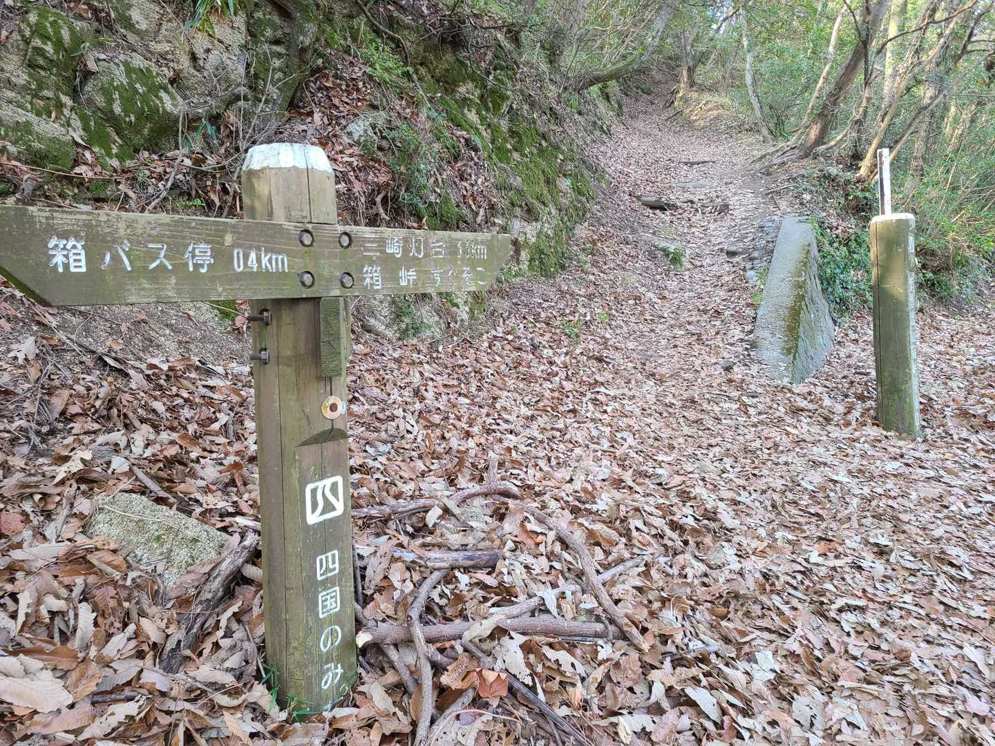 この駐車場に来るまでに、ロード歩きをしてる登山者達に道を聞こうと車を止めると…なんとみきちゃん達5人パーティ❣️ 何と言う偶然⁉️ 世の中狭いね~~~って🤭
一緒に登れるかな❤️って期待したけど、みきちゃん達は灯台迄行くって🌊
さすがだぁ👏 
残念ながらここでお別れ🥲︎でも、山頂辺りで再会出来たら嬉しいな😍  期待しながら…
浦島太郎伝説のある箱峠登山口  ここからStar☆T  👣👣