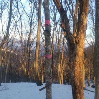 山頂到着。
眺望は悪し。
去年から山名板がありませんでしたが。