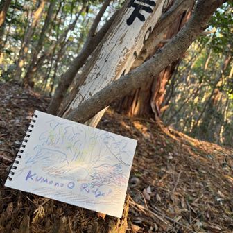 雲野尾ドラゴン。藪漕ぎをしたから、藪ネズミみたいになり。
この峠はpassなのか、ridgeなのか。
ちょっとedgeがきいていたので？、ridgeにしてみました！