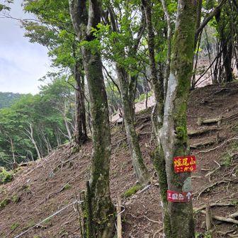 ここからは急坂にザレ場
💪