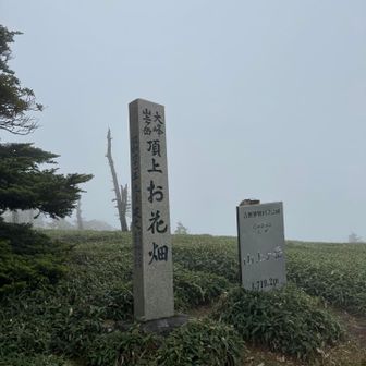 山上ヶ岳⛰️ ガスガスや