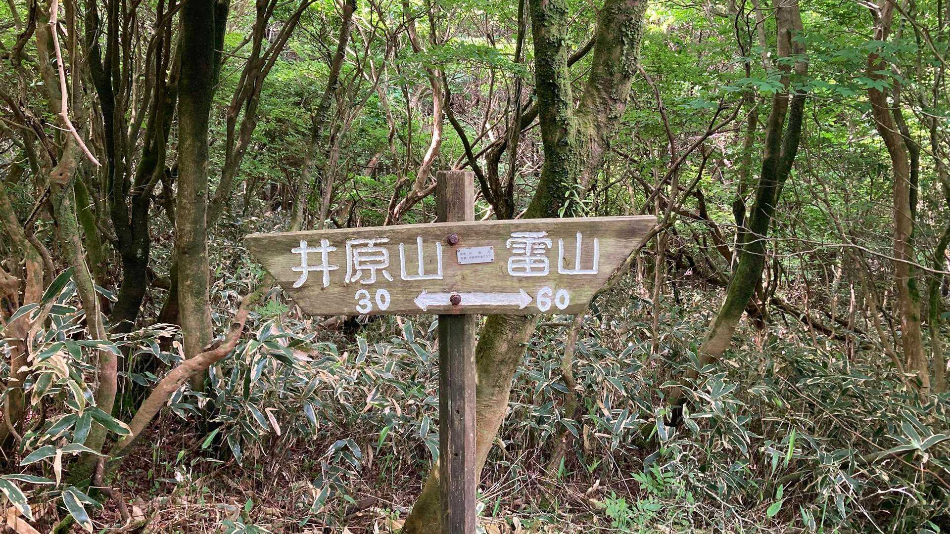 天国縦走路は90分も楽しめる♪😌