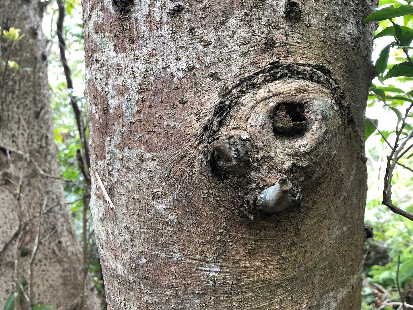 急ぎ足でも
気になるモノは
目につく｡ﾟ+.( °∀°)ﾟ+.ﾟ