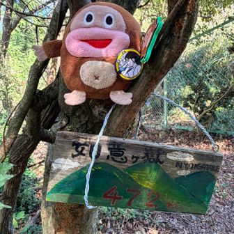 チョコ次郎🍫🐵