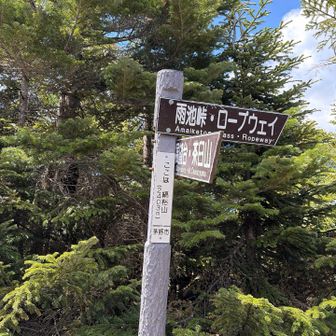 ここ？山頂💦