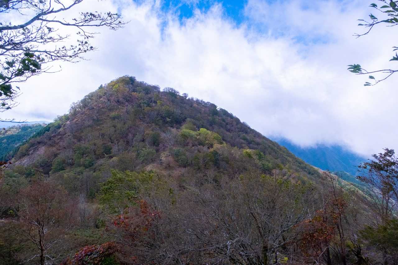 振り返って新九郎山方面