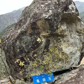 あ

亀顔石でしたか

そうですよね、ハイ

さて
ここから正規ルートに戻る道は別にありました
つまり我々は無駄にキツいルートでここに辿り着いたらしい