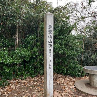 許斐山さんちょ