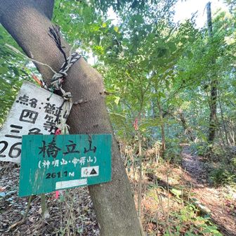 誰とも会わず
橋立山
山頂到着👏✨
即戻ります🐸