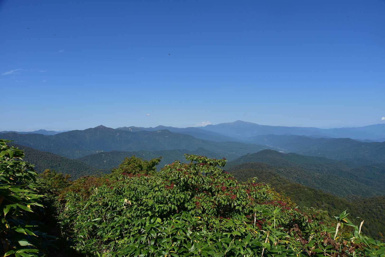 月山