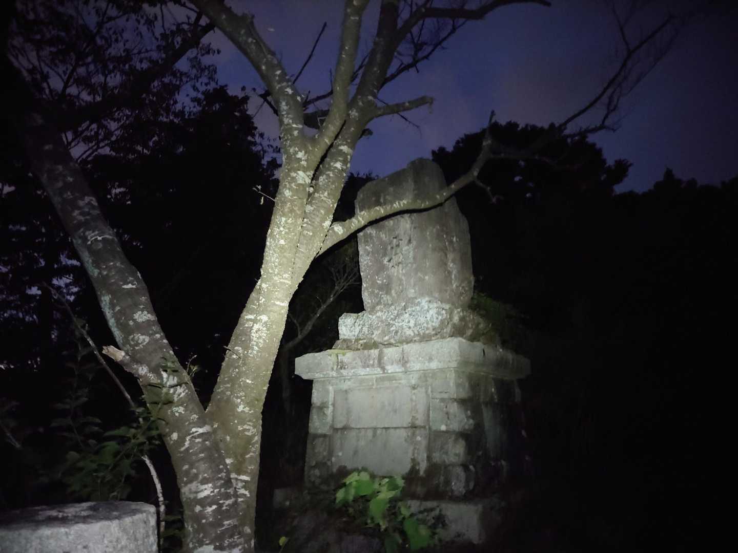 中宮跡（定点測定）
もしかして、初のすれ違いゼロとなるのか🤔