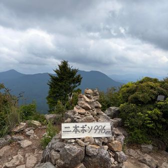 よう喋る管理人のおじいちゃんがおります。