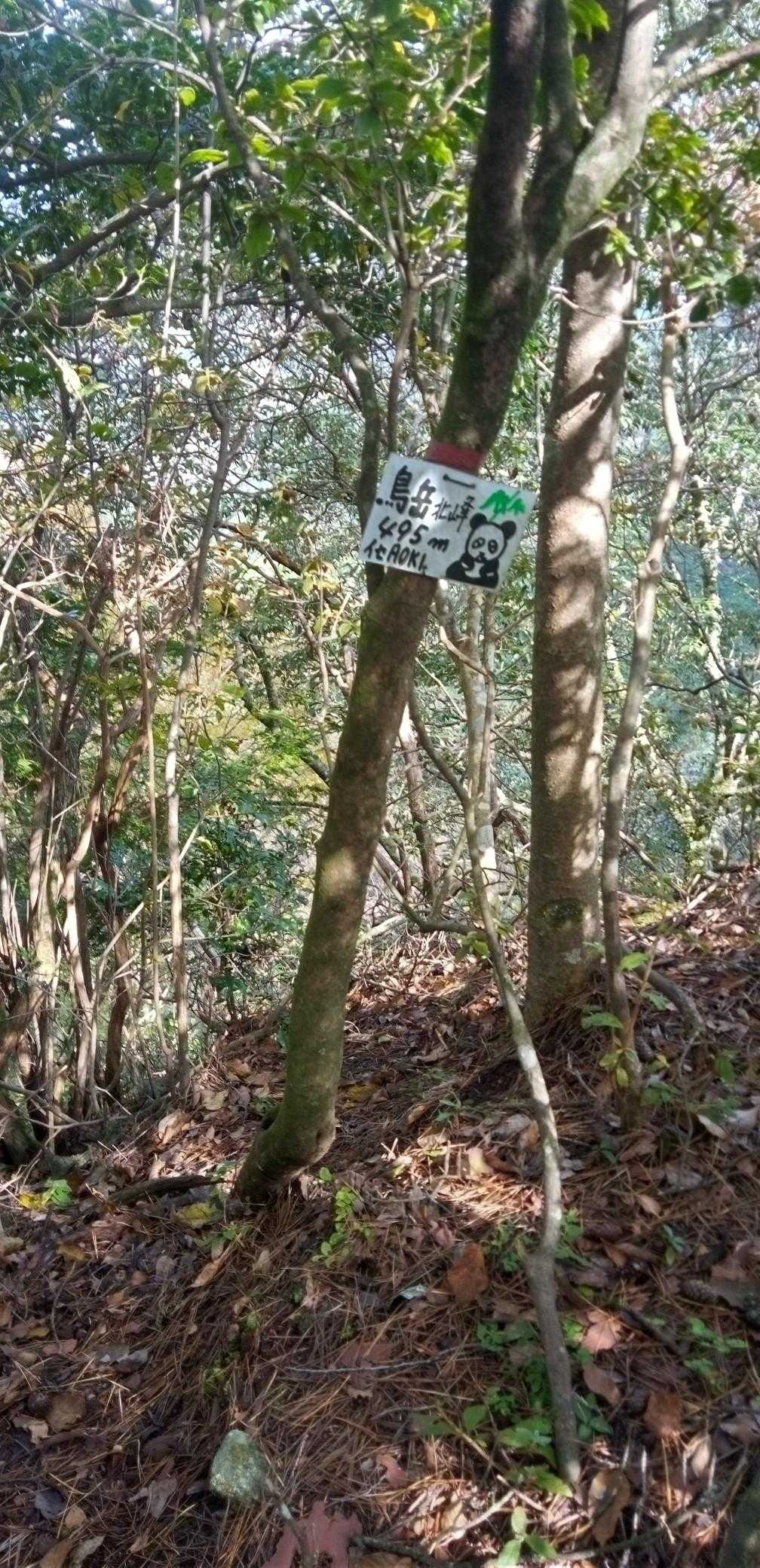 北峰🚩