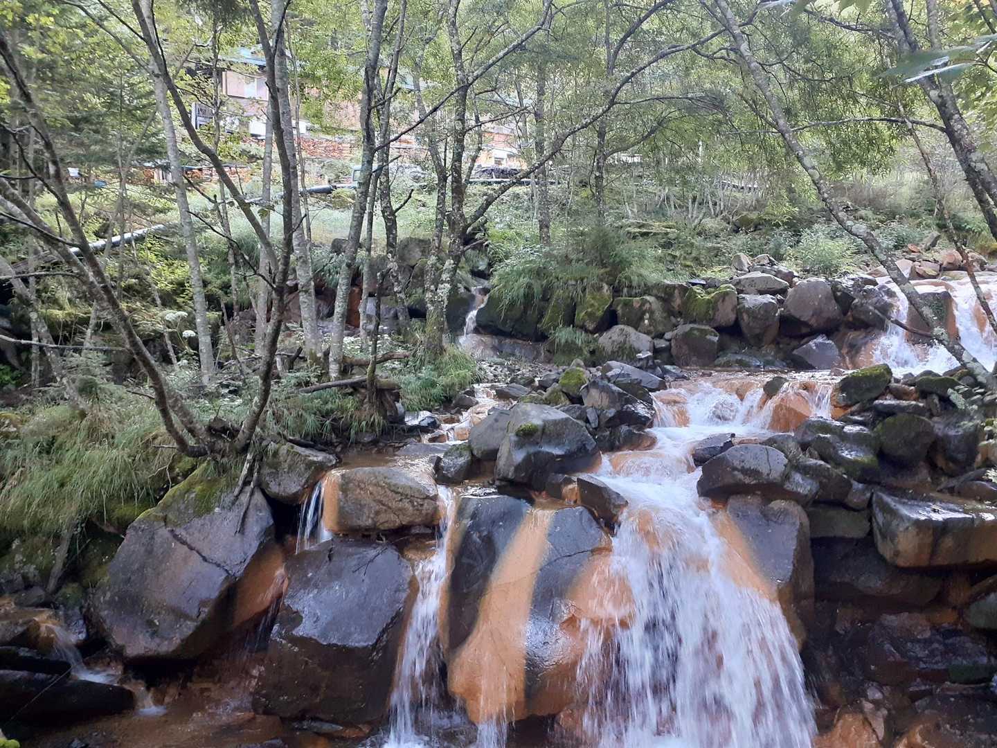 桜平ゲート-桜平登山口-根石岳 周回コースの写真