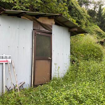 一応登山道のはずですが…🙄
御嶽に登る人はあまり使わない道のようでこの有様🤣
しばらく歩くと足元びしょ濡れになりましたです