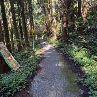 浦山口駅まで歩きます。