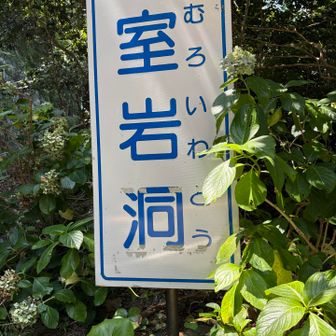 天然クーラーありがとうございました