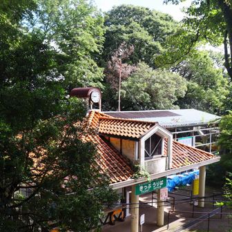 リフト乗り場まで来ました。