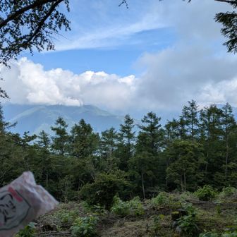 ストレッチをサボったせいで片側ぎっくり腰になり2週間、ようやく普通に屈めるようになってきたので、年齢を考えもう無理をするのはやめようと思った。なので、本仁田山の急登よりはマイルドなコースを今回は選択。サス沢〜御前山まで、日本代表に奥多摩は良い勝負なのではなかろうかと思った。