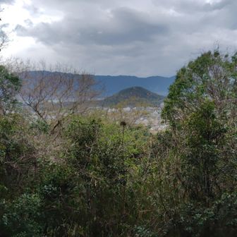 先ほどの畝傍山