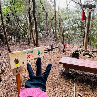 たぶんここ300ザメでした