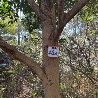 阪急岡本駅まで降りていきます。ピークを取りに本庄山。行き方はYAMAP参照。
