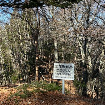 ニゴリサワ山の入り口。
今日はみさくぼっちへ行きたいので、往復1時間は取れません😭
この時の計画は、12:30駐車車、13:15みさくぼっち、ラストオーダー15分前に滑り込む完璧な計画です👍