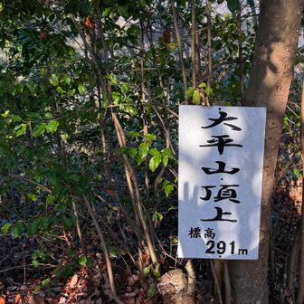              大平山⛰️  (おおひらやま)：約291m

                              初 ✨登頂 🙌

                       山頂は眺望なしでした
