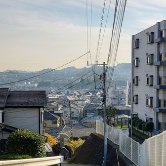 あーぁ。
どんなお山でもナメたらいけない！
標高たった60m程の、近所の裏山みたいな雰囲気のお山なのに、遭難したかと思いました…😅
ごめんなさい💧
事前に地図はきちんと用意し、今後の教訓として活かしたいと思います。