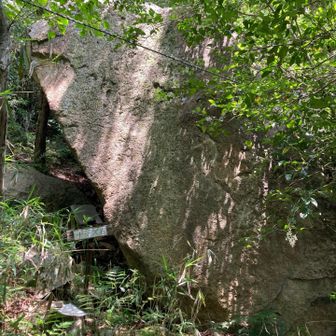 ナマズ石。阪神大震災の際、荒地山頂上あたりから数百m滑り落ちてきたとのこと。