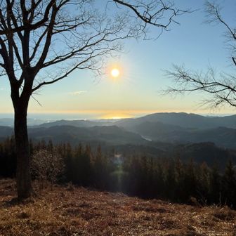 海から昇る日の出が拝めそうな場所です🌅