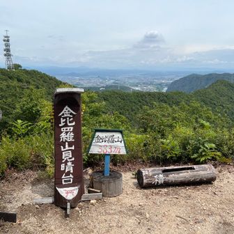 眺めが良い