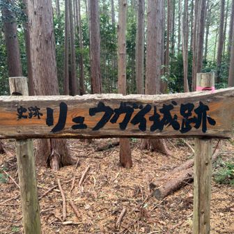 龍谷山🐉登頂382m