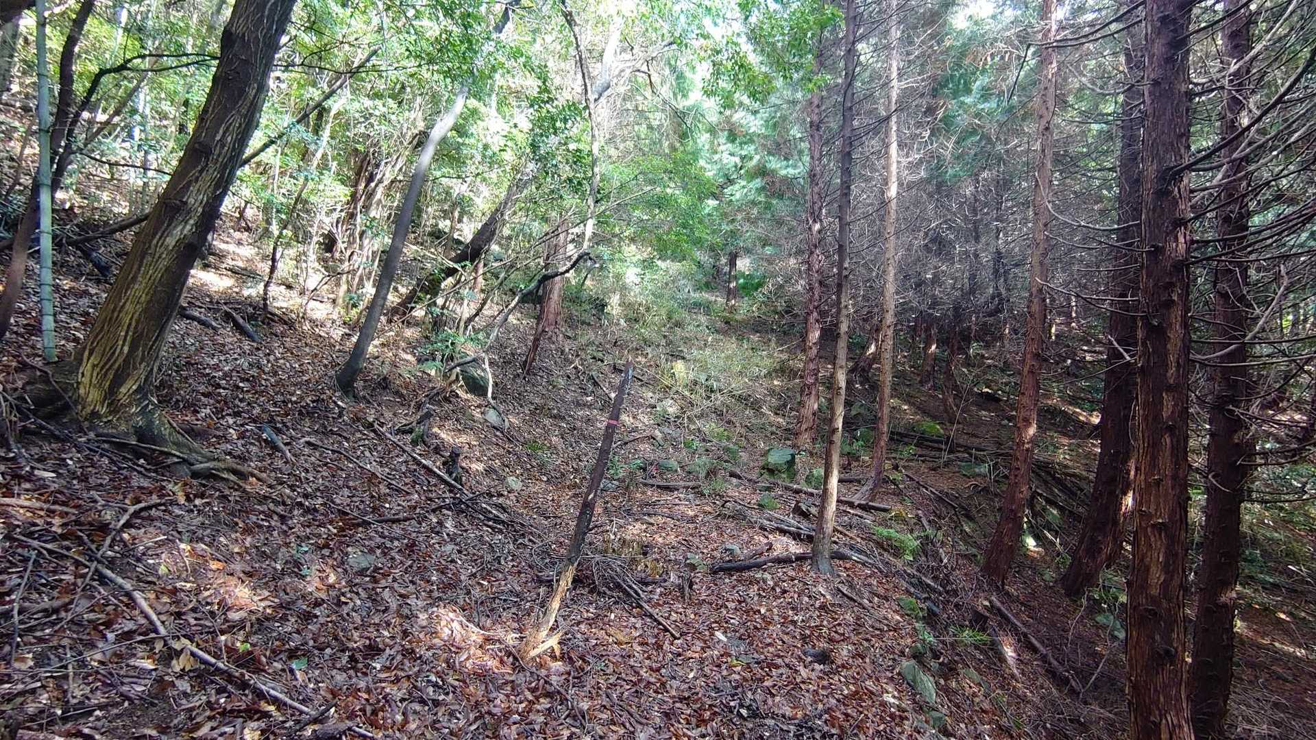 ここから最初の予定の廃道コースへ。