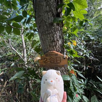 2号目まだ元気😃
