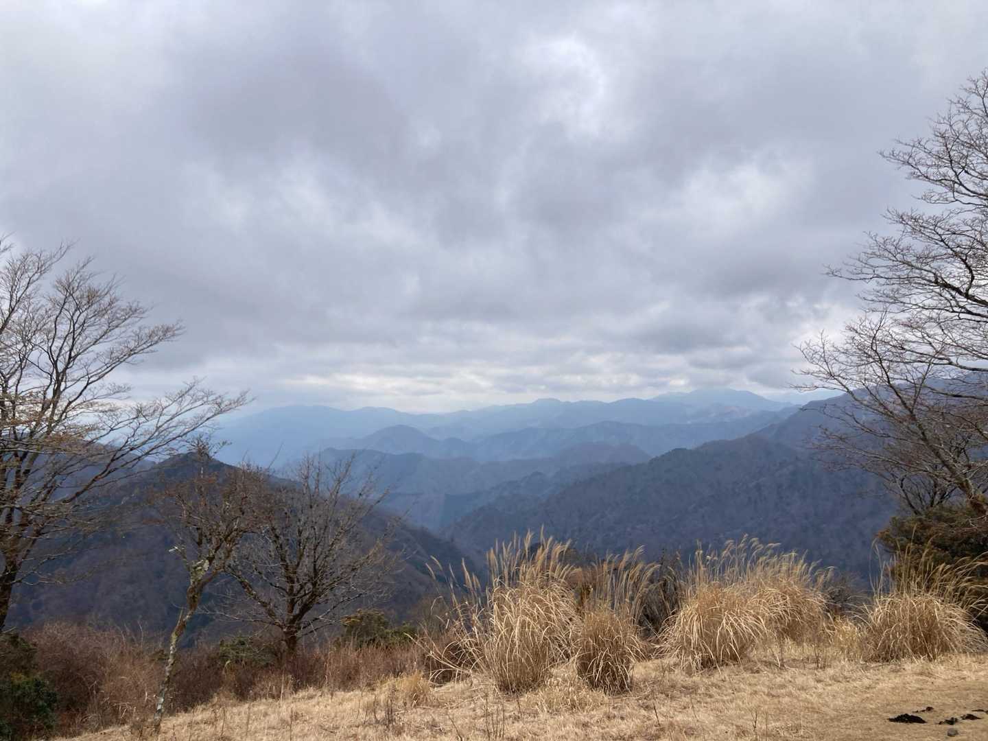 富士山🗻は拝めず😓