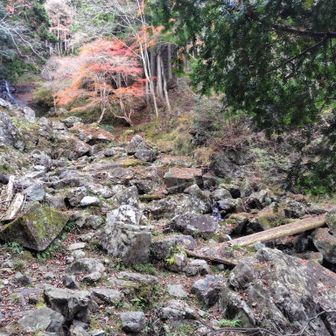 書写山の刀出登山道みたいな感じですかね

奥が雄滝？