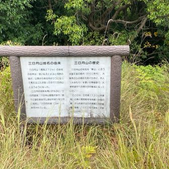 三日月山の歴史。
こちらも天智天皇の世の防人の時代。
戦乱の時代も大友氏と毛利氏の攻防が色濃く。⚔️
今や夏草に埋もれ。