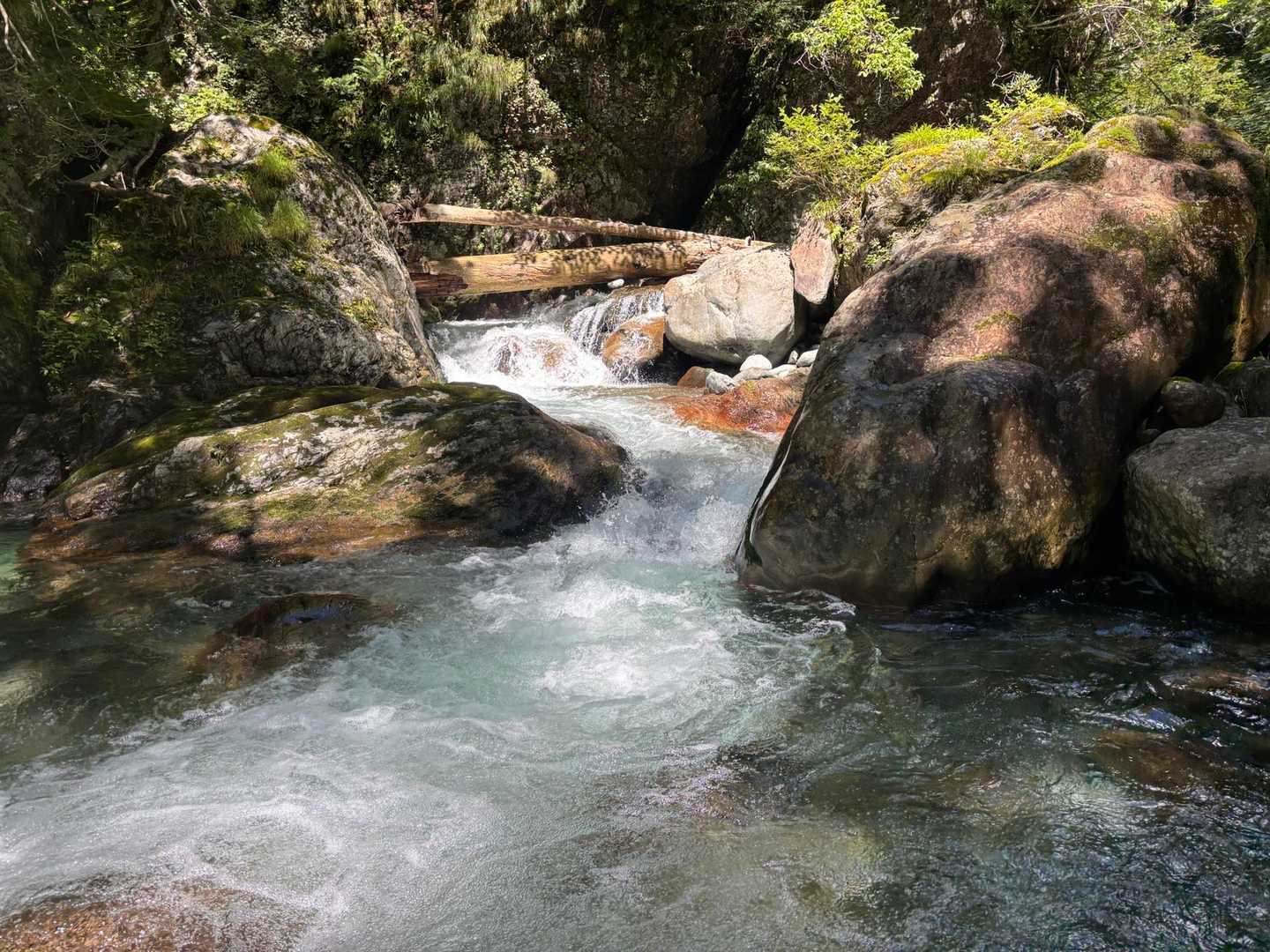 流れの激しい場所は注意⚠️