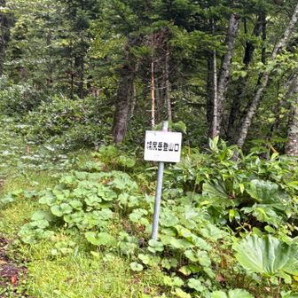 幌尻岳登山口
