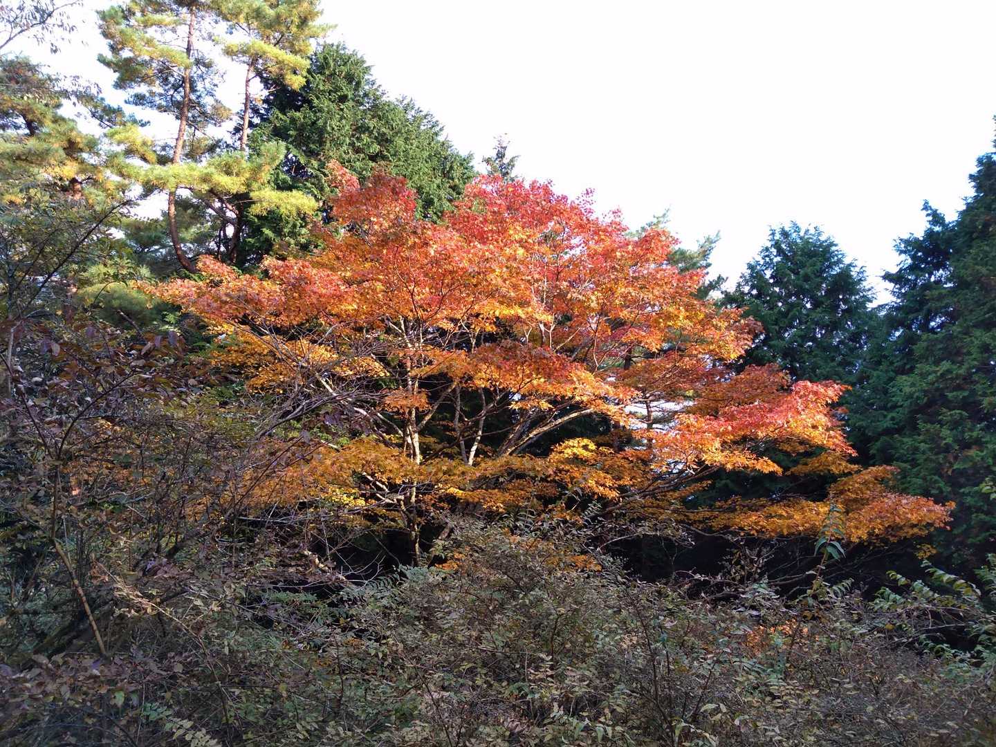 これが今日一番でした！