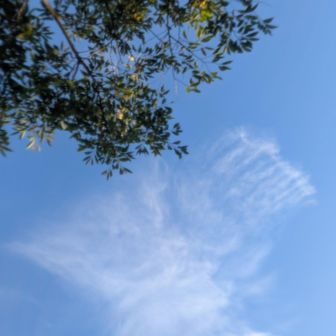 観音岳から空を見上げる
ベンチに横たわり空を見ました
とても気持ちがよかったです