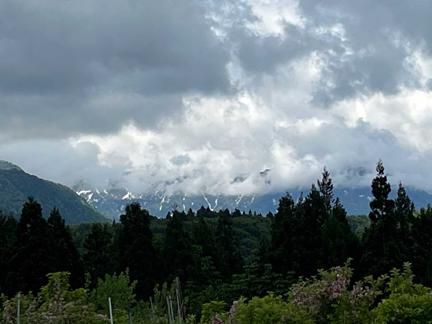 アレッって苗場山かなぁ…