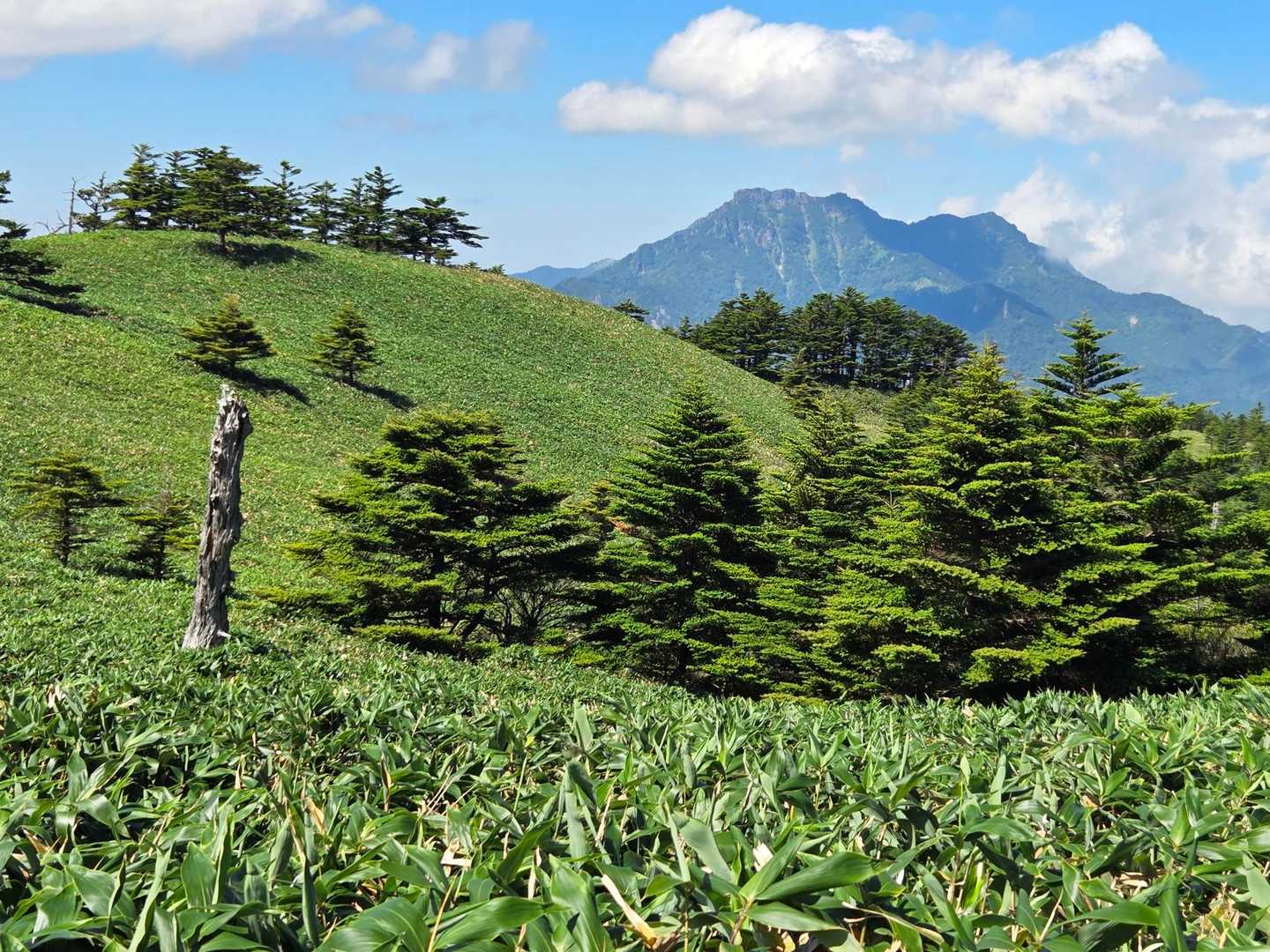瓶ヶ森登山口発着｜四国最高峰を眺望する瓶ヶ森 周回コースの写真