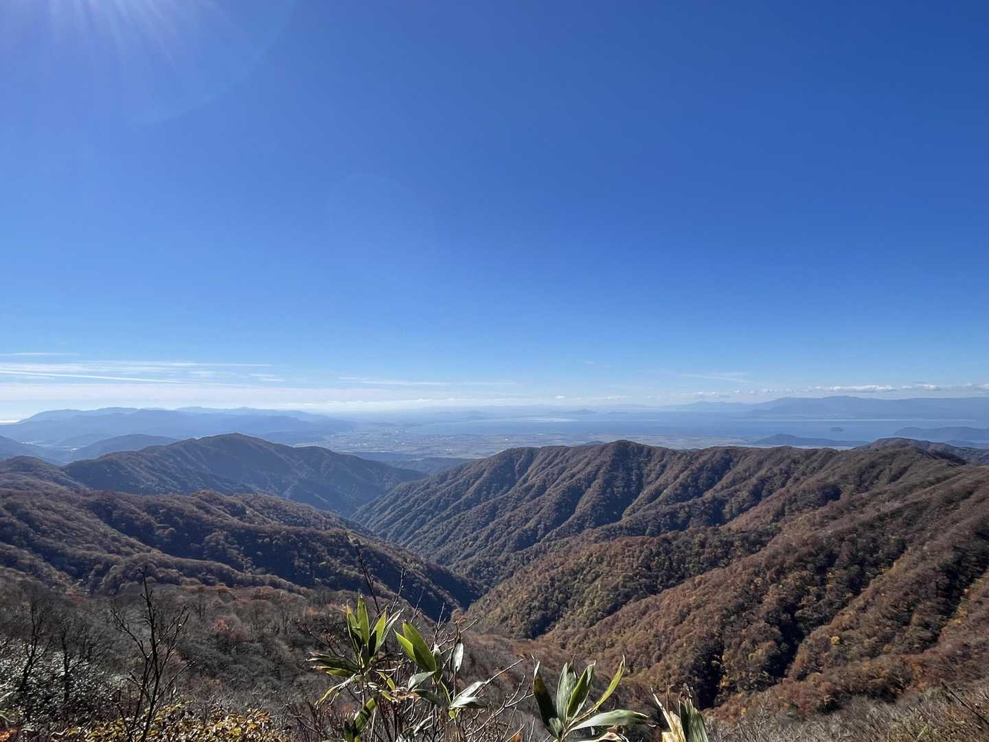 紅葉の山