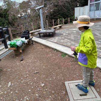 ピロロン