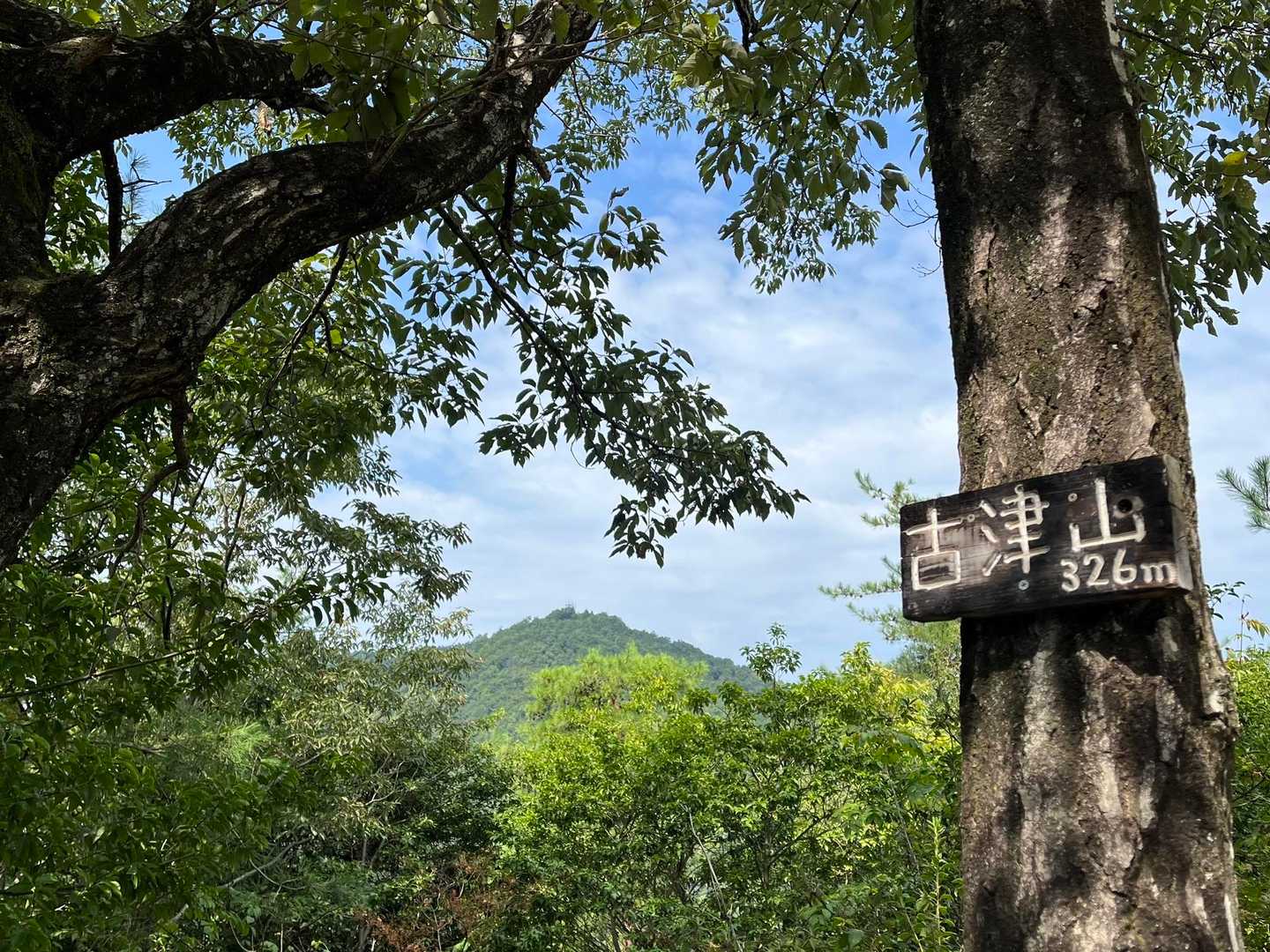古津山から百々ヶ峰