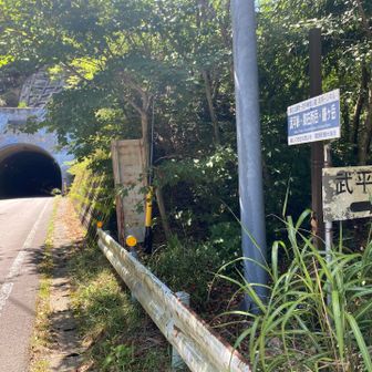 無事降りて来たよ　でもこっから中登山道の登山口まで戻らなあかん
