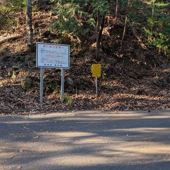 この看板の先へ向かいます➡️