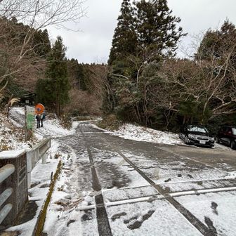 今朝の車谷登山口はこんな感じ！
私達は椎原バス停近くに車を停めてきたけど、今日は車谷登山口まで問題なく上がってこれる感じでした🚗